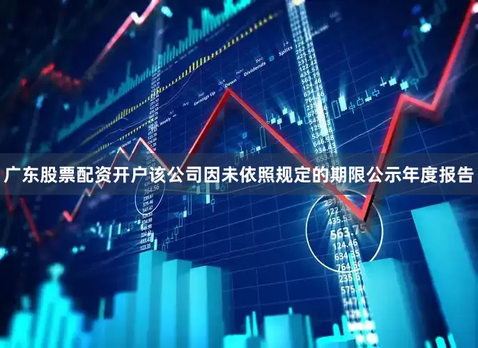 广东股票配资开户该公司因未依照规定的期限公示年度报告