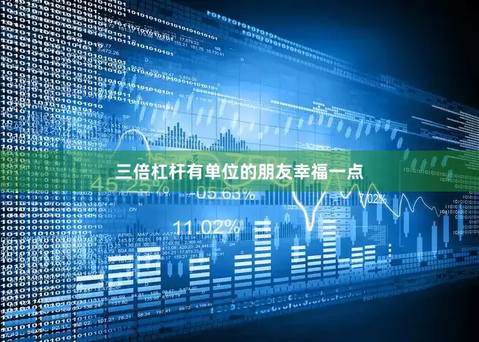 三倍杠杆有单位的朋友幸福一点
