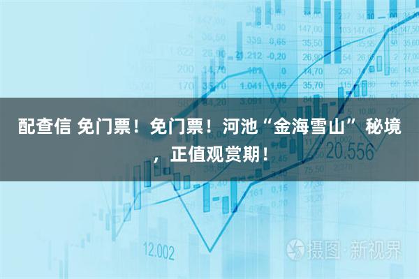 配查信 免门票！免门票！河池“金海雪山” 秘境，正值观赏期！