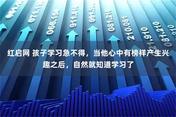 红启网 孩子学习急不得，当他心中有榜样产生兴趣之后，自然就知道学习了