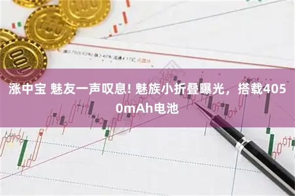 涨中宝 魅友一声叹息! 魅族小折叠曝光,搭载4050mAh电池