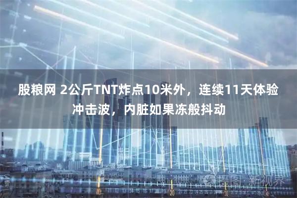 股粮网 2公斤TNT炸点10米外，连续11天体验冲击波，内脏如果冻般抖动