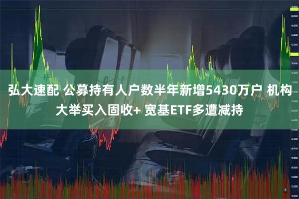 弘大速配 公募持有人户数半年新增5430万户 机构大举买入固收+ 宽基ETF多遭减持